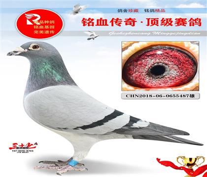 �����ϴ��ܷɵķ���