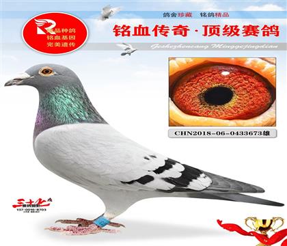 �����϶�������ԭ������