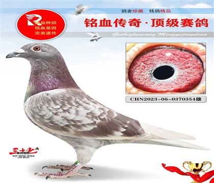 ���731 �������λƽ��