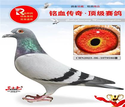 ���־��ܽ�ͷ