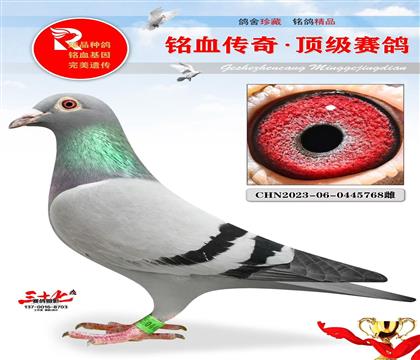 �ھ�������003ֱ��Ů