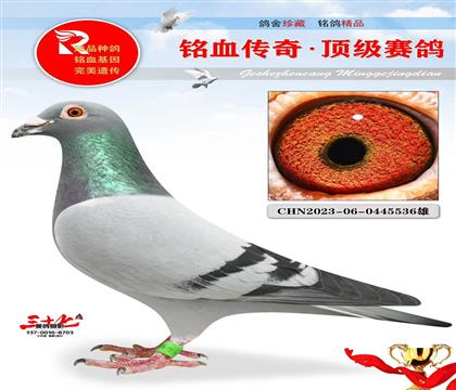 �ھ�������003ֱ��Ů