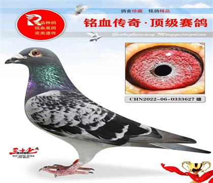 �ھ�����ֱ�ӡ�