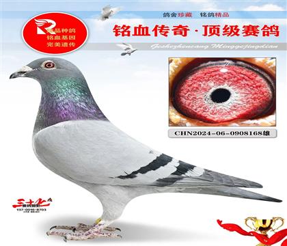 ����ֱ�ӡ�1491ֱŮ