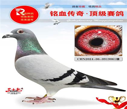 ����1162ֱ�ӡ��ǳ��ѵ�