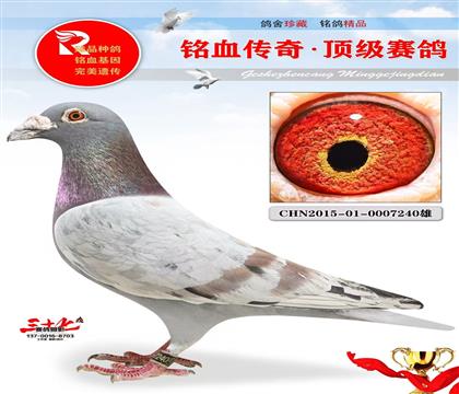 ������������ٸ�԰����