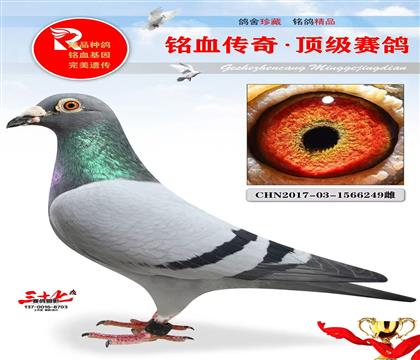 �������ظ����Ǿ�