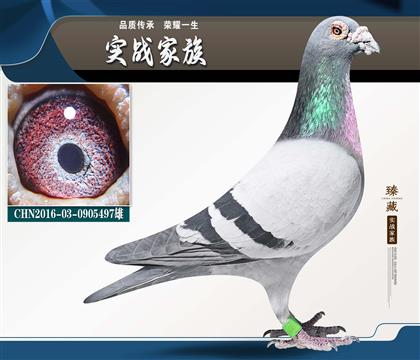 �ֲ������漣32���¶���������4��