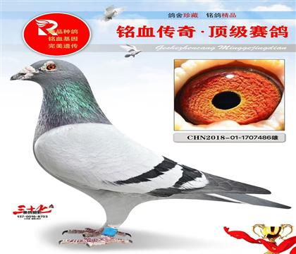 �����ۡ��غ�ʹ