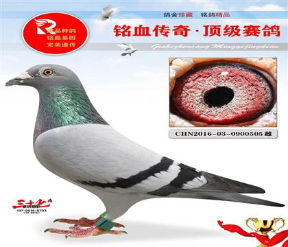 ���蹫������Ǿ�