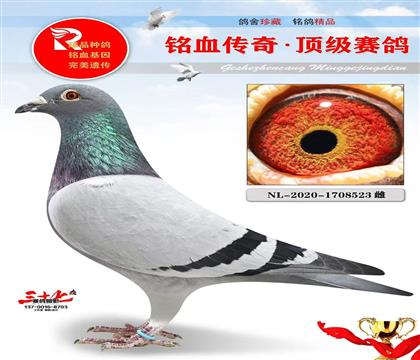 ����˹ԭ�ᡢ����˹ֱŮ