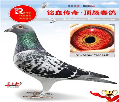 ����˹ԭ�ᡢ����˹ֱ��