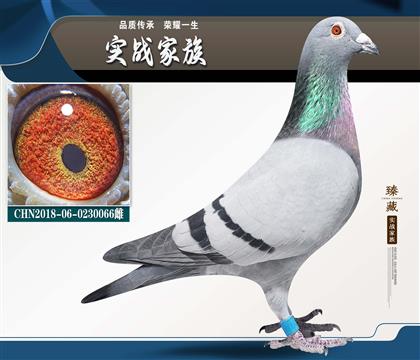 ������240 ��29��