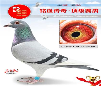 ��ֻ����ǰʮ��ͬ��ĸ��������