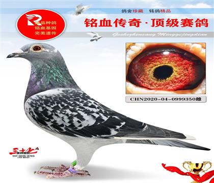 ������ԭ��������ɽ���а�