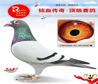 ���蹫��12��ͬ�ѡ�����05