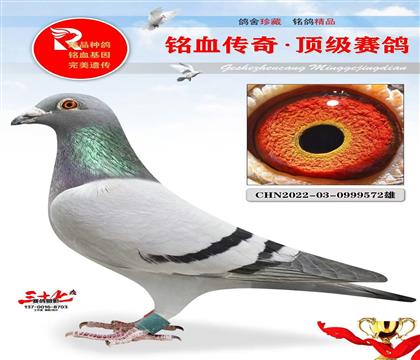 ����388���塢�˸�ܿ���