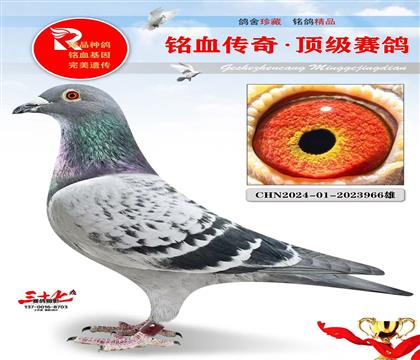 �л���ҵ��ʵս�ɸ�