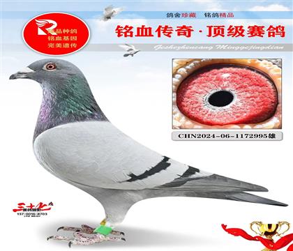 �������ظ���