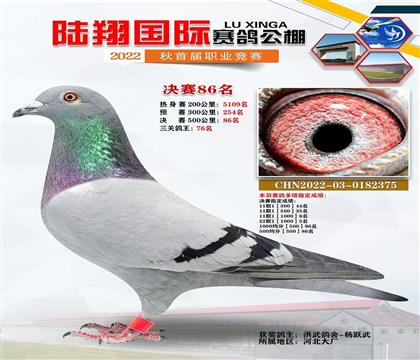 ½�蹫�����86��