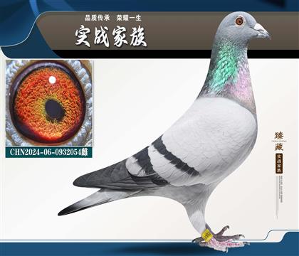 ��һֱ�족 ����240