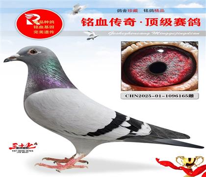 KBDB����13��ƽ����������ҵ