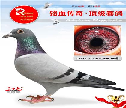 KBDB13��ƽ����������ҵ