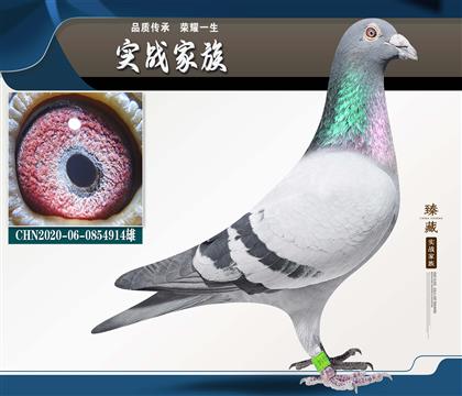 ����240 ��һֱ�족����