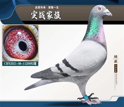 ����240 ���չھ�����