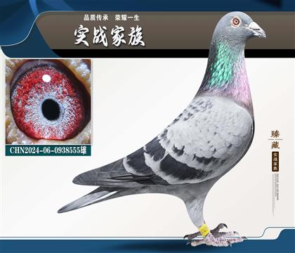 �����ϲ�����쫷��555��