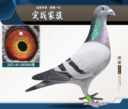 ��õ���Ѫ��������