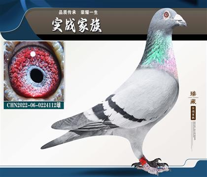 �ֲ����漣32