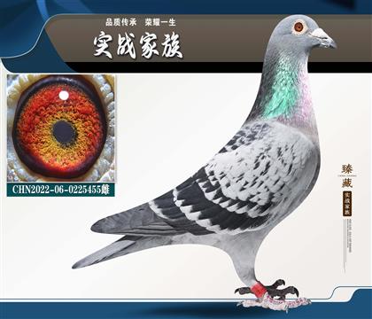 Ʒλ�߼� ˫�� ����