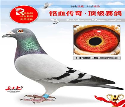 ��������Ǿ�����ֱ��