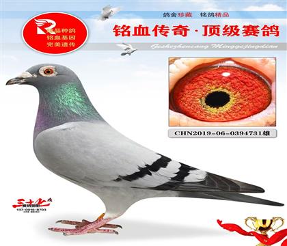 �����԰����