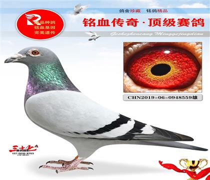 �Ĺڸ�ҵ���ٰ���