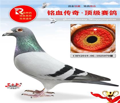 �Ĺٸ�ҵ���ٰ���