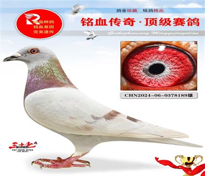 �ٸ뼾�������ض�006