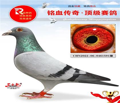 ���ݿ���Ѫ