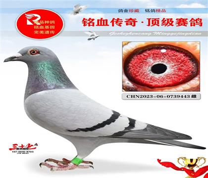 ��������Ǿ���ѪֱŮ