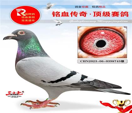 ����������˹