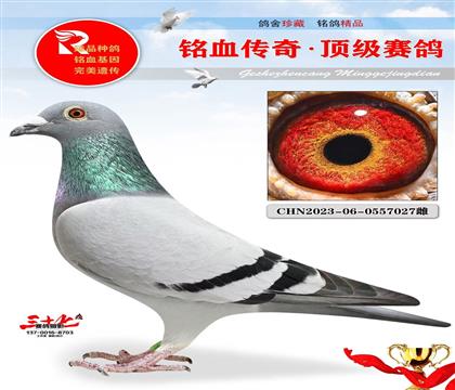 ����Ҽ���ٰ���