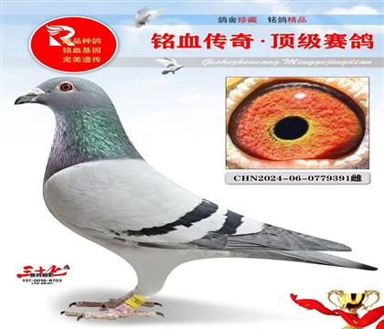 �ٸ뼾���������Ǿ�