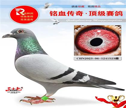 ����505���塢��������ǰʮ��