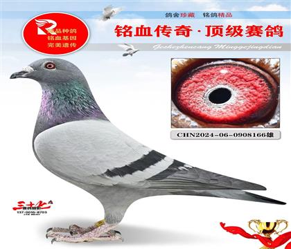 �ٸ뼾���������Ǿ�