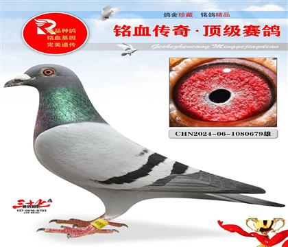 �ٸ뼾���������Ǿ�