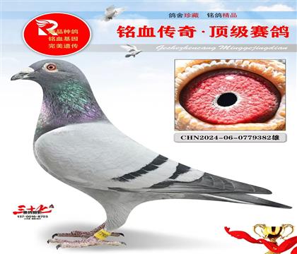 �����Ǿ�ĸ�ӻ�Ѫ