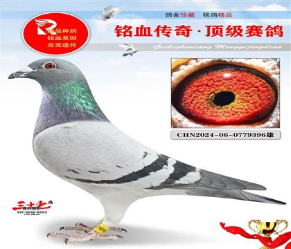 �����Ǿ�ĸ�ӻ�Ѫ