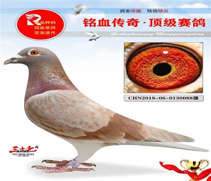 �����̡��������𽱸�