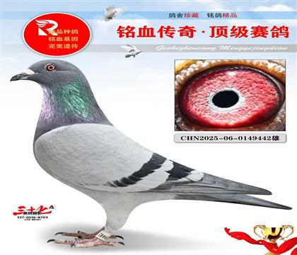 ����ֱ�ӡ�1491ֱŮ